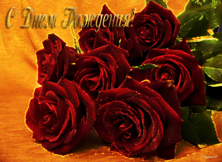 С Днем Рождения Женщине Красивые Поздравления Розы