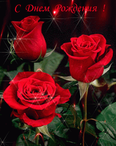 Бесплатная анимационная открытка женщине с днем рождения с шикарными розами