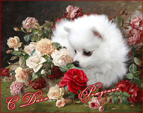 Анимационная открытка с милой собачкой женщине с днём рождения