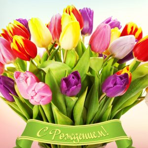 Яркая открытка женщине с днём рождения с тюльпанами