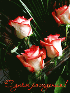 Бесплатная открытка с красивыми розами с днём рождения