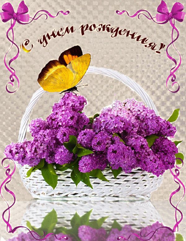 Картинка красивые цветы с бабочкой женщине с днем рождения