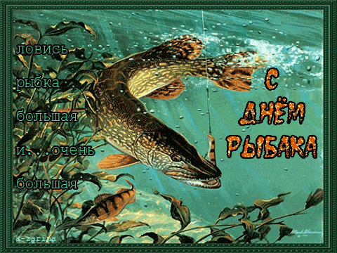 Gif открытка с днём рыбака